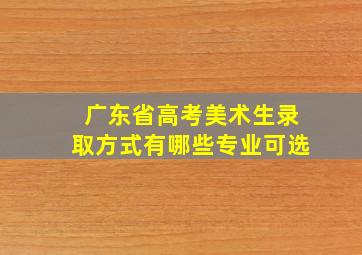 广东省高考美术生录取方式有哪些专业可选