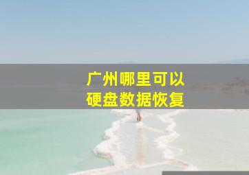 广州哪里可以硬盘数据恢复