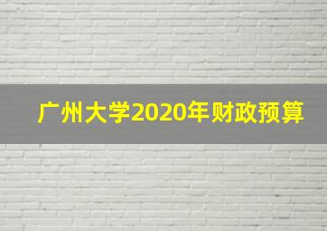 广州大学2020年财政预算