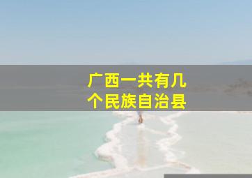 广西一共有几个民族自治县