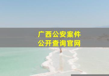 广西公安案件公开查询官网