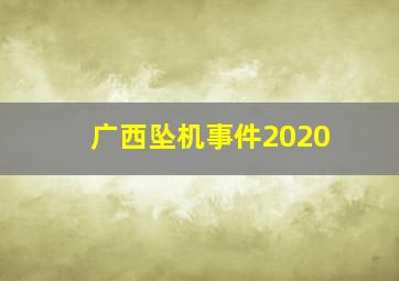 广西坠机事件2020