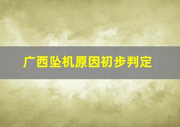 广西坠机原因初步判定