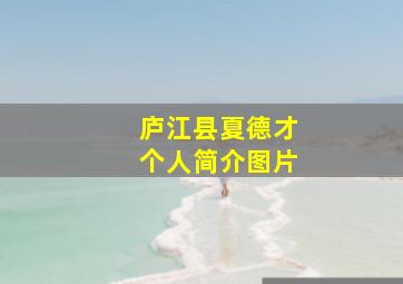 庐江县夏德才个人简介图片