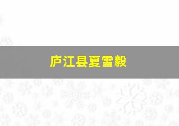 庐江县夏雪毅