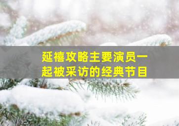 延禧攻略主要演员一起被采访的经典节目