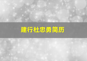 建行杜忠勇简历