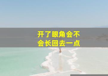 开了眼角会不会长回去一点