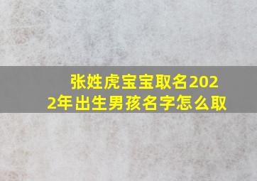 张姓虎宝宝取名2022年出生男孩名字怎么取