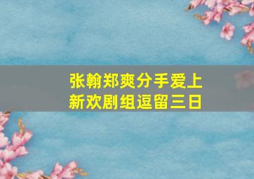 张翰郑爽分手爱上新欢剧组逗留三日