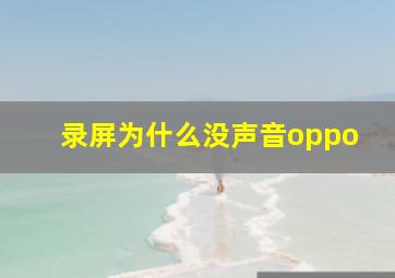 录屏为什么没声音oppo