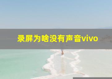 录屏为啥没有声音vivo