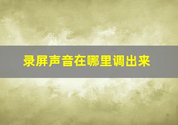 录屏声音在哪里调出来