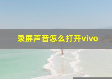 录屏声音怎么打开vivo