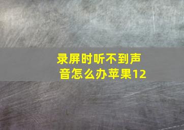 录屏时听不到声音怎么办苹果12