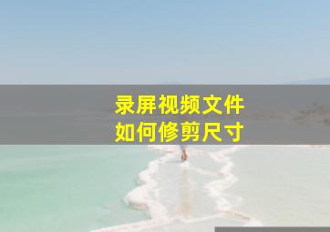 录屏视频文件如何修剪尺寸