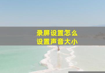 录屏设置怎么设置声音大小