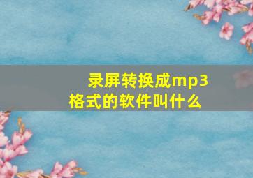 录屏转换成mp3格式的软件叫什么