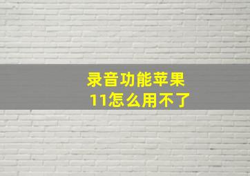 录音功能苹果11怎么用不了