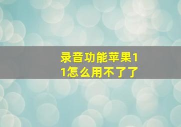 录音功能苹果11怎么用不了了