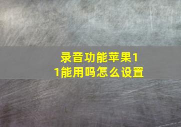 录音功能苹果11能用吗怎么设置