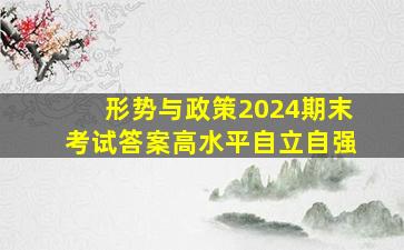 形势与政策2024期末考试答案高水平自立自强