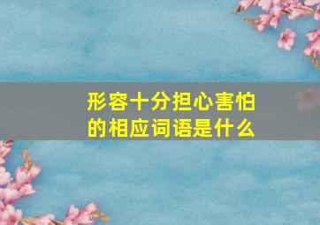 形容十分担心害怕的相应词语是什么