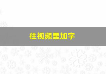 往视频里加字