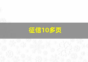 征信10多页