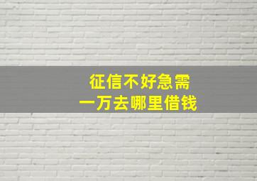 征信不好急需一万去哪里借钱