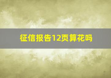 征信报告12页算花吗