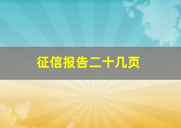 征信报告二十几页