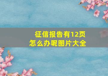 征信报告有12页怎么办呢图片大全