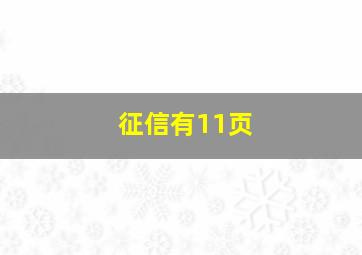 征信有11页