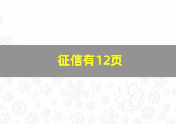 征信有12页