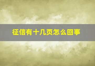 征信有十几页怎么回事