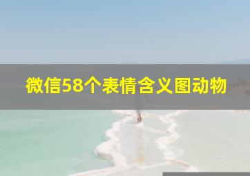 微信58个表情含义图动物