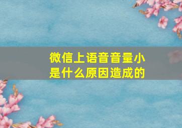 微信上语音音量小是什么原因造成的