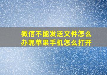 微信不能发送文件怎么办呢苹果手机怎么打开