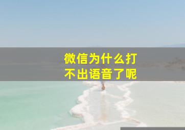 微信为什么打不出语音了呢