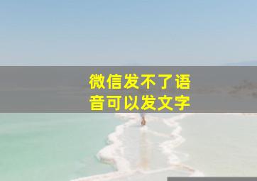 微信发不了语音可以发文字