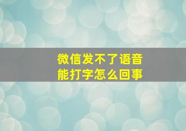 微信发不了语音能打字怎么回事