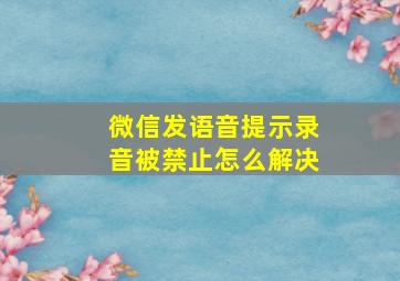 微信发语音提示录音被禁止怎么解决