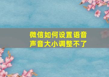 微信如何设置语音声音大小调整不了