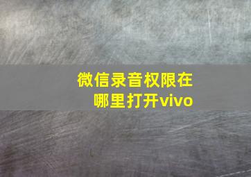 微信录音权限在哪里打开vivo