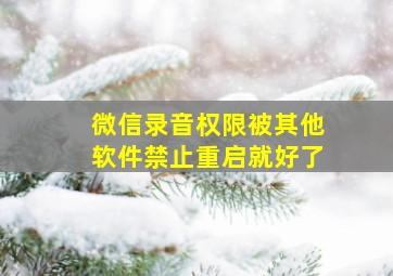 微信录音权限被其他软件禁止重启就好了