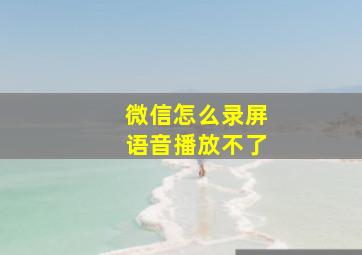 微信怎么录屏语音播放不了