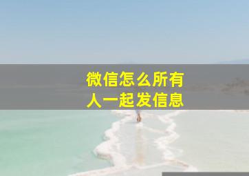 微信怎么所有人一起发信息