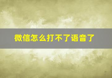 微信怎么打不了语音了