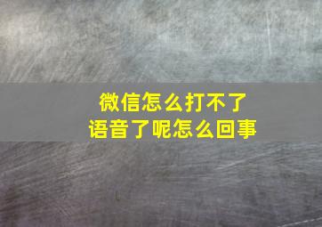 微信怎么打不了语音了呢怎么回事